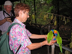 064 Cairns Tropical Zoo